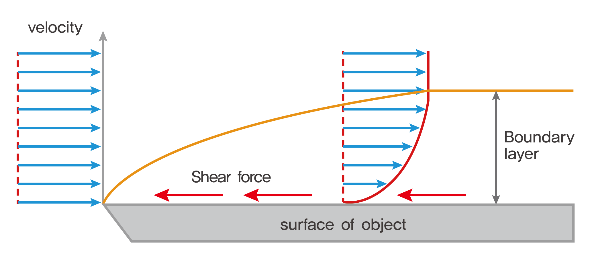 Generated Velocity gradient by shear force at interface