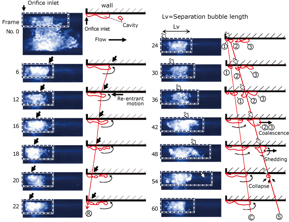 Splitted Bubbles by shear force